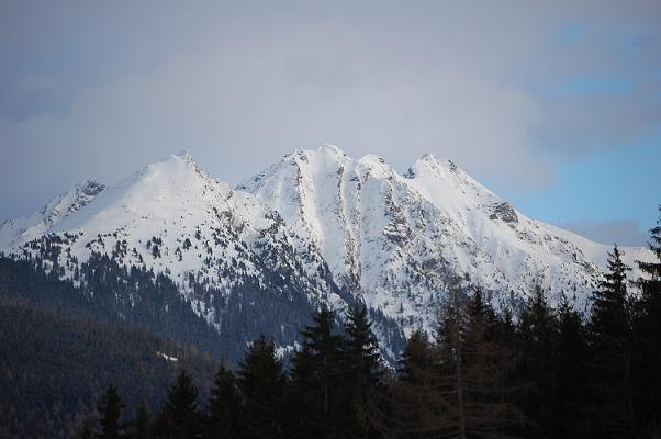 DSC_0224.JPG