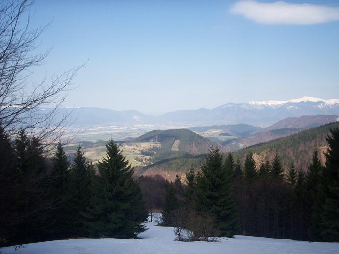 100_4726.jpg