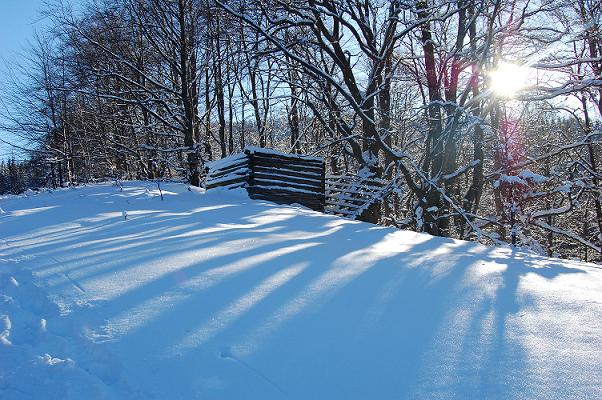 DSC_0020.JPG