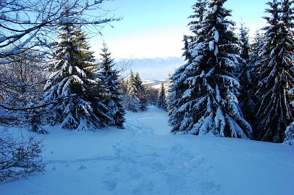DSC_0032.JPG