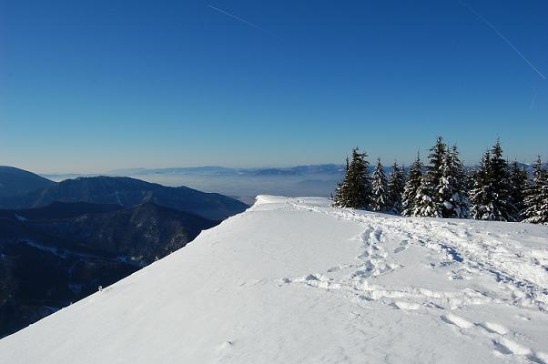 DSC_0081.JPG