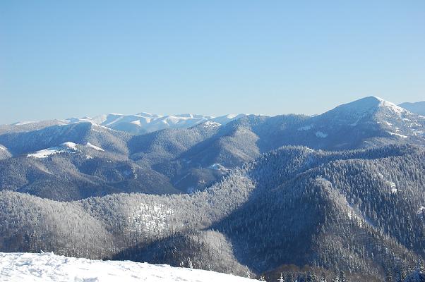 DSC_0091.JPG