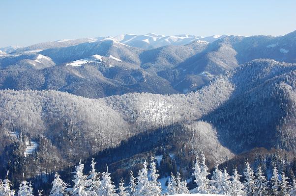 DSC_0092.JPG