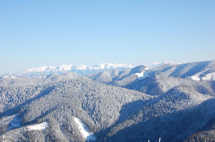 DSC_0110.JPG