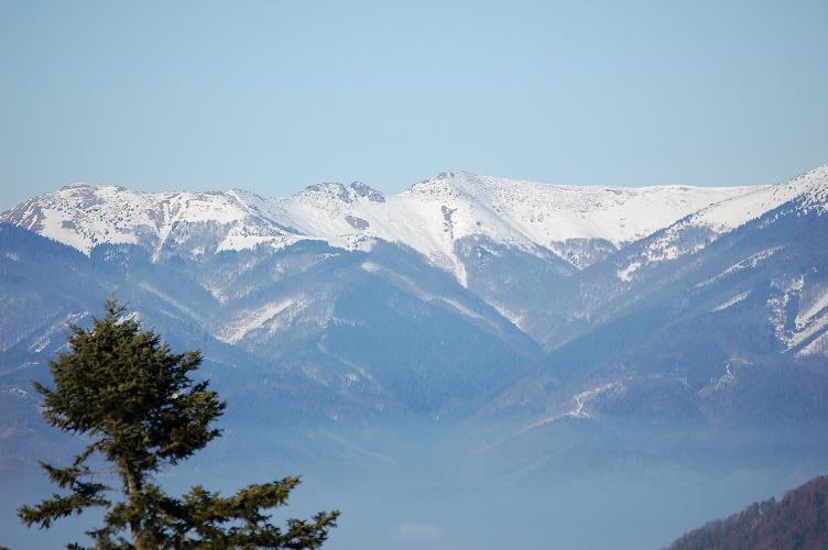 DSC_0115.JPG