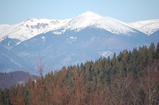 DSC_0116.JPG
