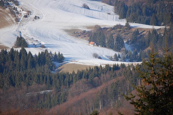 DSC_0126.JPG