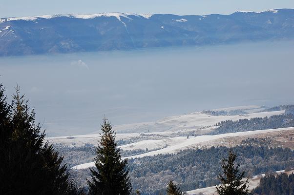 DSC_0131.JPG