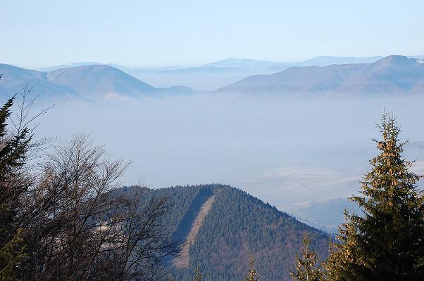 DSC_0138.JPG