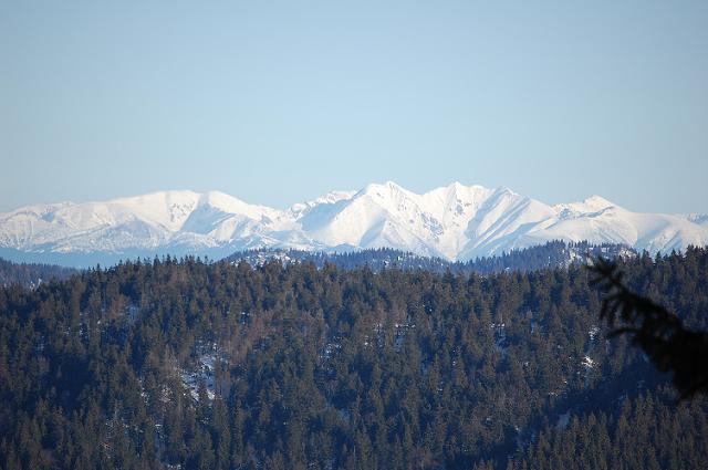 DSC_0141.JPG