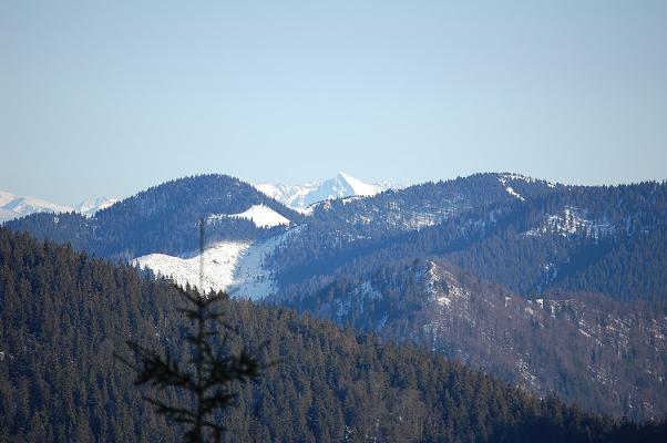DSC_0146.JPG