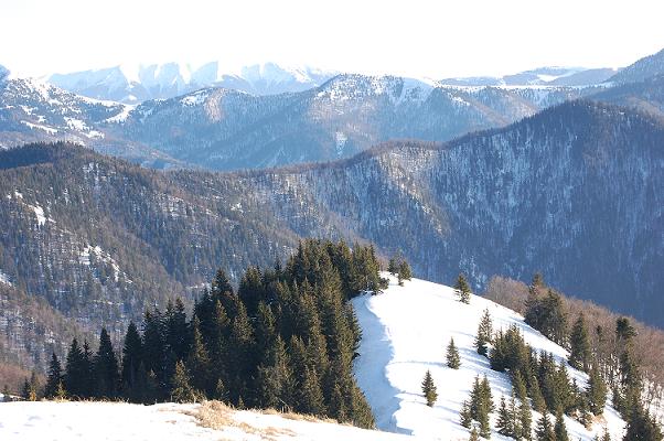 DSC_0165.JPG