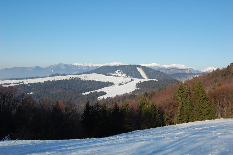 DSC_0167.JPG