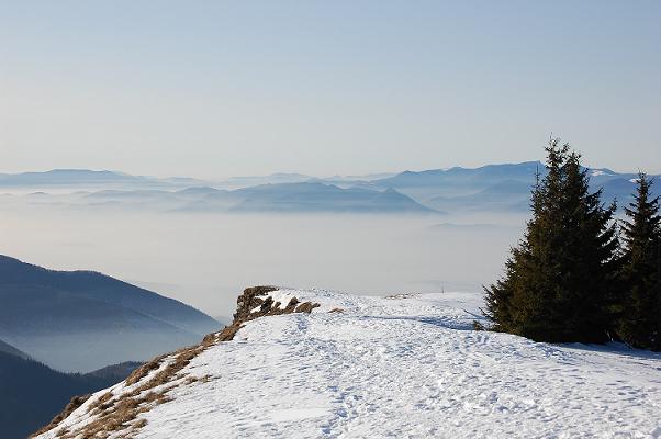 DSC_0175.JPG