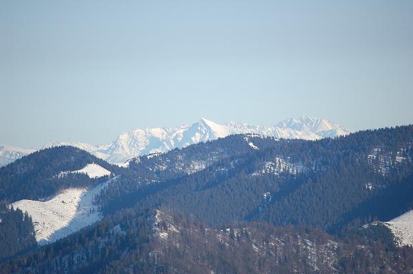 DSC_0200.JPG