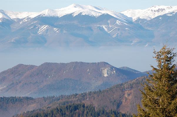 DSC_0215.JPG