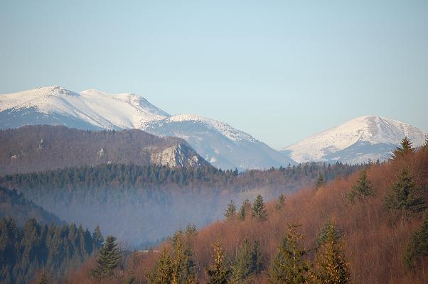 DSC_0230.JPG