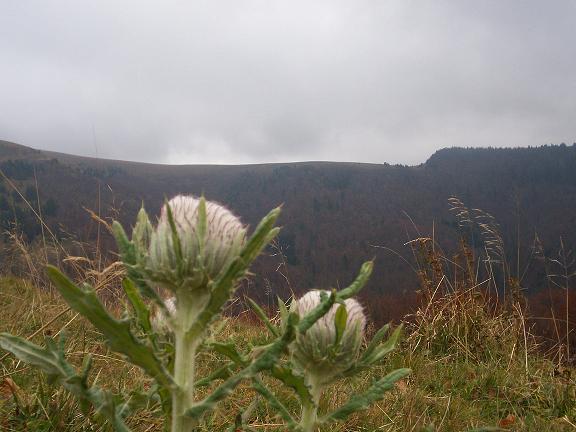 100_2224.jpg