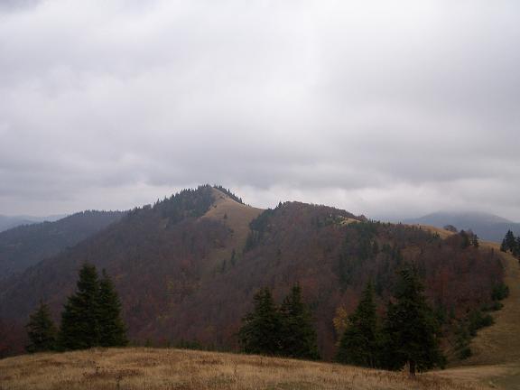 100_2232.jpg