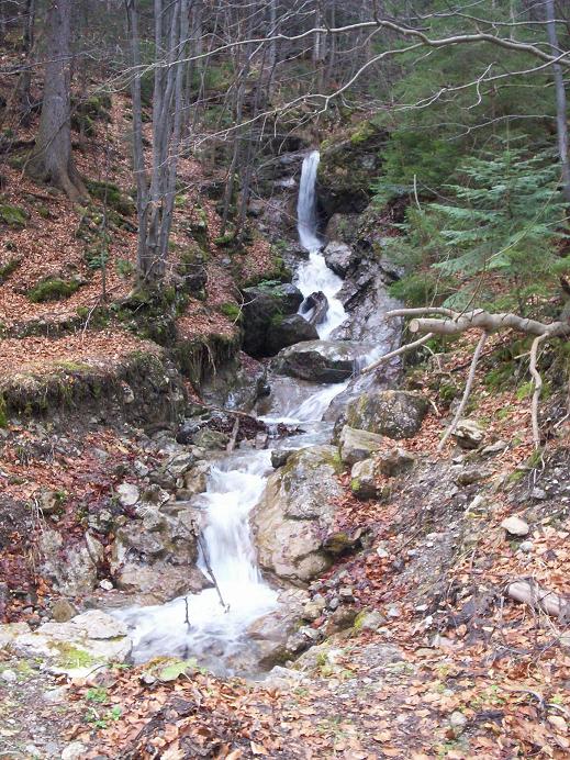100_3188.jpg