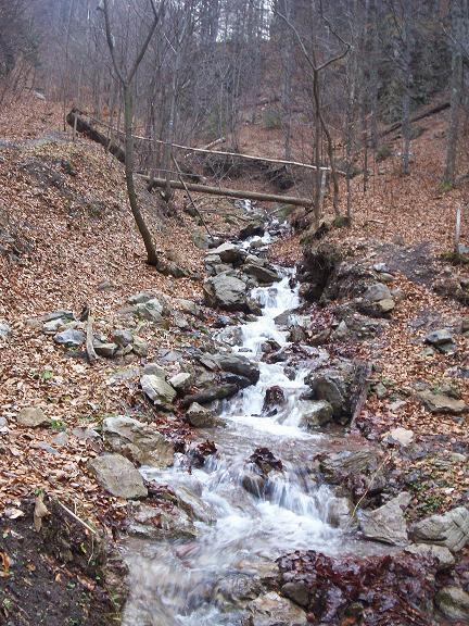 100_3197.jpg