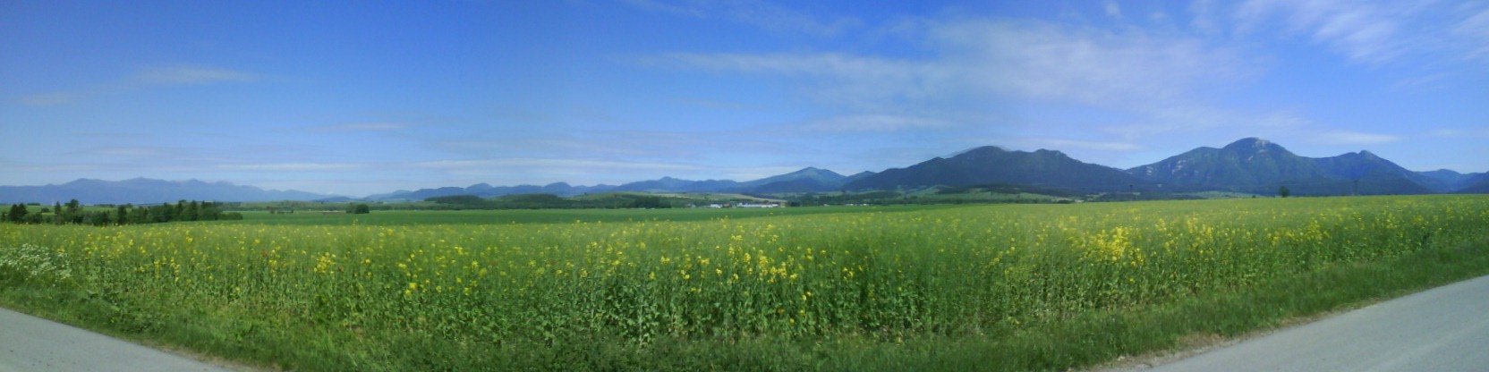 DSC00063.JPG